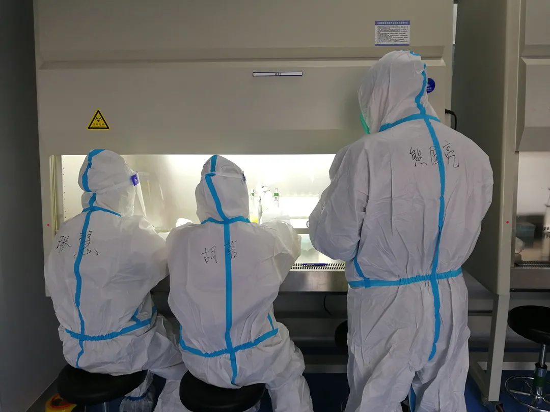 「抗疫手記3」疫情不退，決不下火線