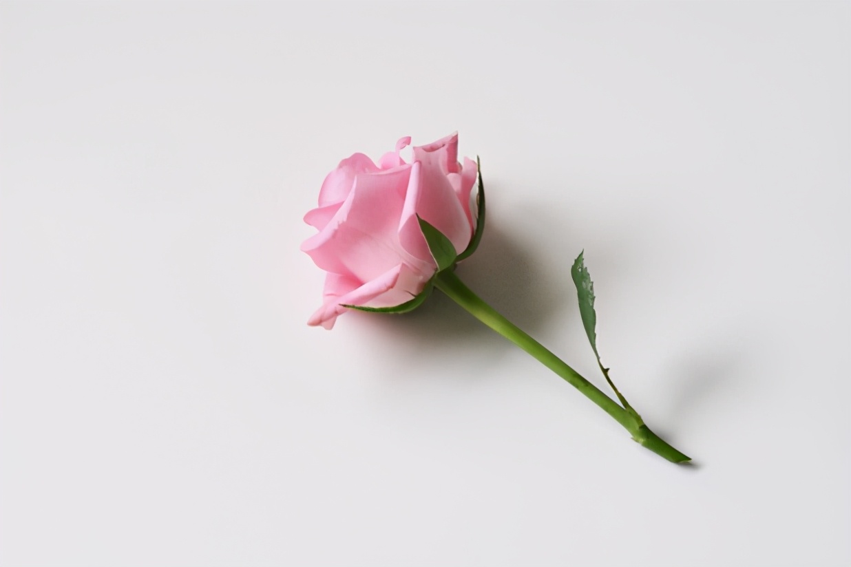 「我為群眾辦實事」醫(yī)保暖心服務(wù) 致敬參戰(zhàn)老兵